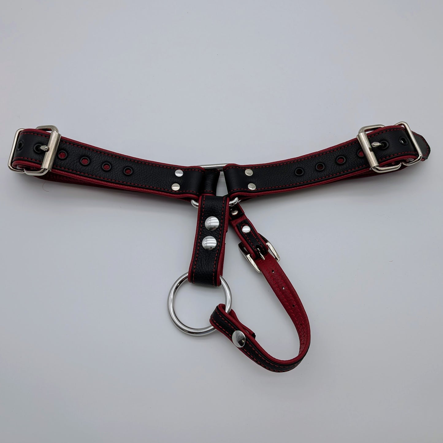 Plug Harness Kit